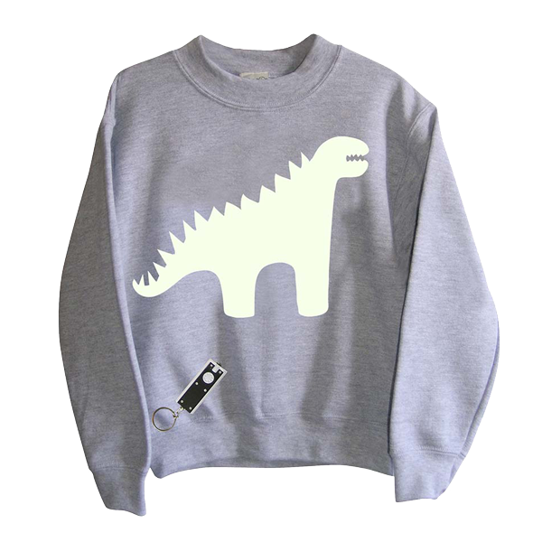 Camping Dino Colour Block Sweatshirt